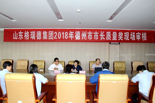 德州市市長質量獎審核專家蒞臨格瑞德現場審查