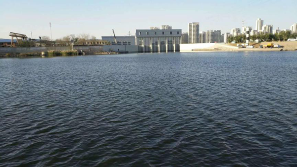 迎難而上 勇鑄輝煌